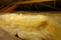 Rickney pitch roof insulation